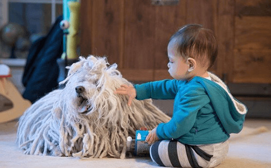 Maxima Chan Zuckerberg Moments With Pet